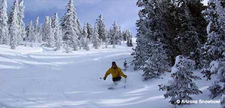 Picture of Arizona Snowbowl at San Francisco Peaks in Flagstaff, Arizona