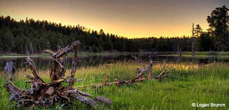 Flagstaff Area Camping