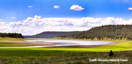 Flagstaff Fishing at Lake Mary