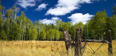 Flagstaff Arizona