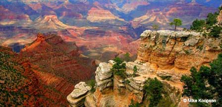 Pictures of Big Horn Mountain Sheep at Grand Canyon