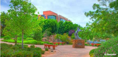 Phoenix AZ Japanese Friendship Garden