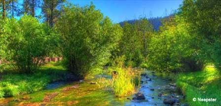 Greer Arizona Scenery