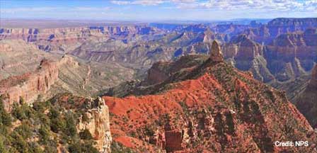 Picture of Grand Canyon North Rim