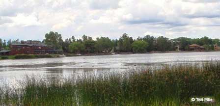 Rainbow Lake near Show Low