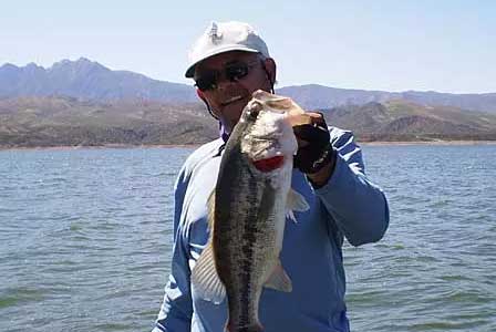 Largemouth Bass Caught While Fishing Roosevelt Lake