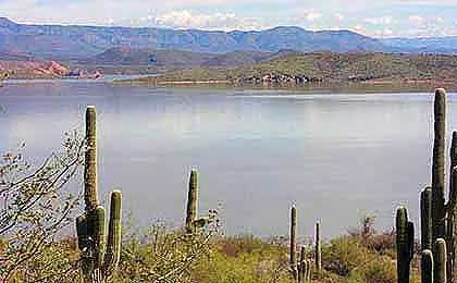 View of Roosevelt Lake From SR-188