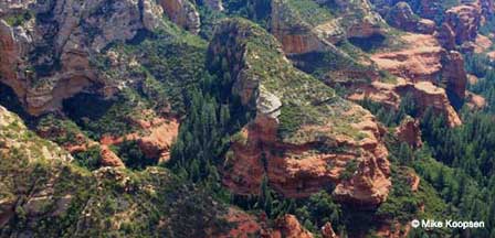 Picture of Sedona, Area From Above