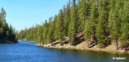 White Mountains AZ Lakes