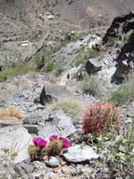 Piestewa Summit Trail