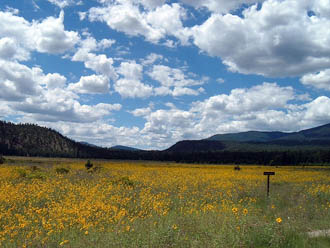 Wupatki National Monument Photo 8