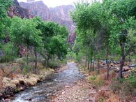 Phantom Ranch Campgrounds