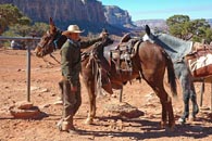 Cowboy At Phantom Ranch