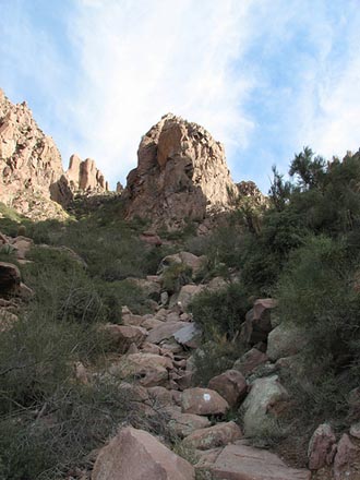 Lost Dutchman Park Photo 4