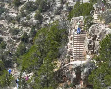 Picture of Walnut Canyon Stairs To The Indian Ruins